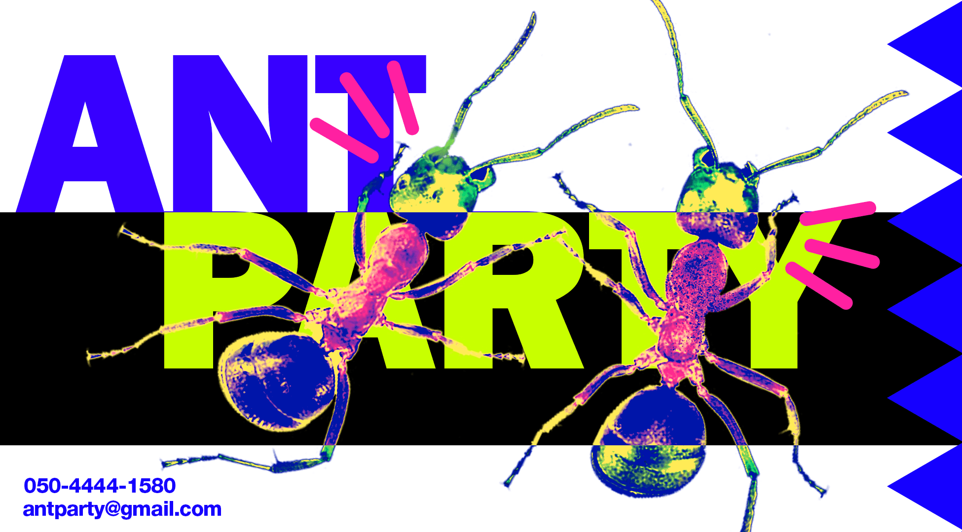 ANT PARTY Card