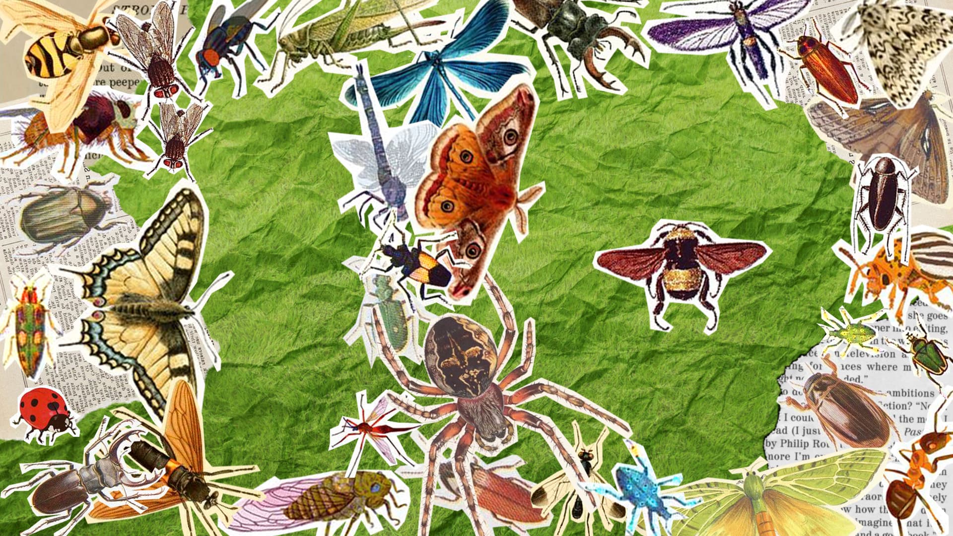 Bug Countdown